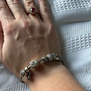 Pandora Charm Bracelet